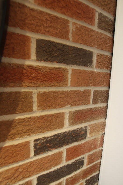 close up photo of red brick wall